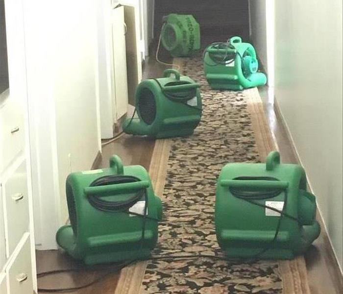 6 green Air Movers in hallway with carpet runner