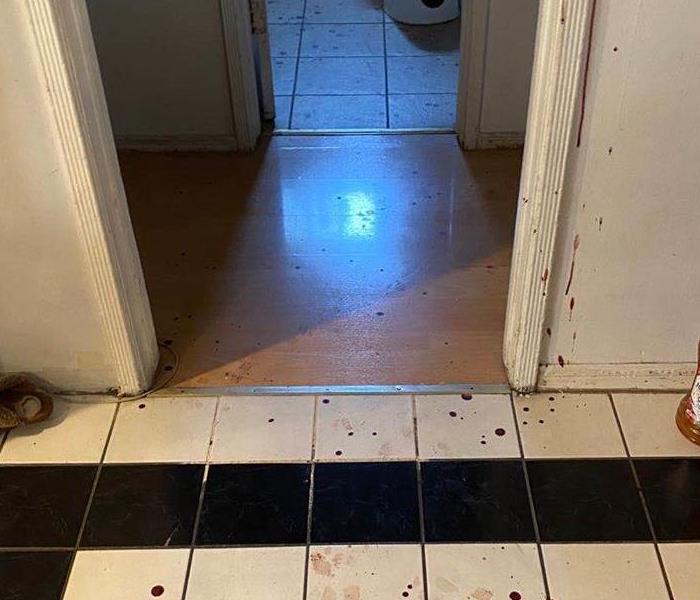 Blood on the floor and walls as the intruder ran throughout property