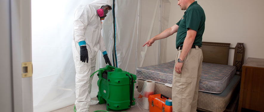 San Gabriel, CA mold removal process